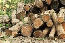 Wood Log Stock Photography Wood Log Stock Photography