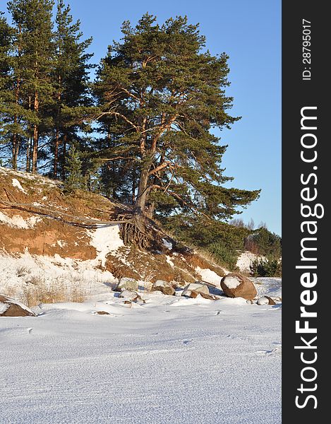 The Pskov lake, the island Belov. Winter landscape. January 2013.