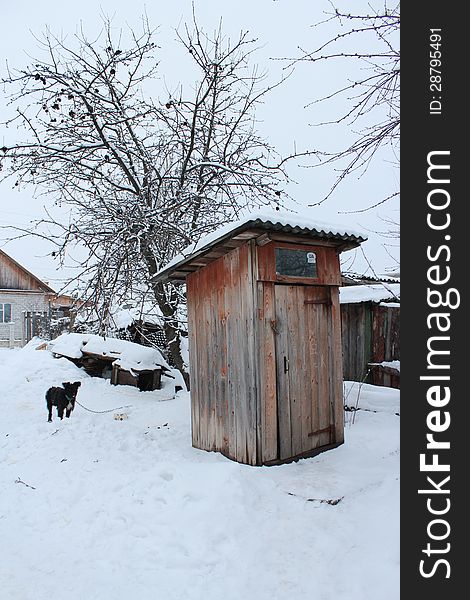 Rural toilet and black dog in winter. Rural toilet and black dog in winter