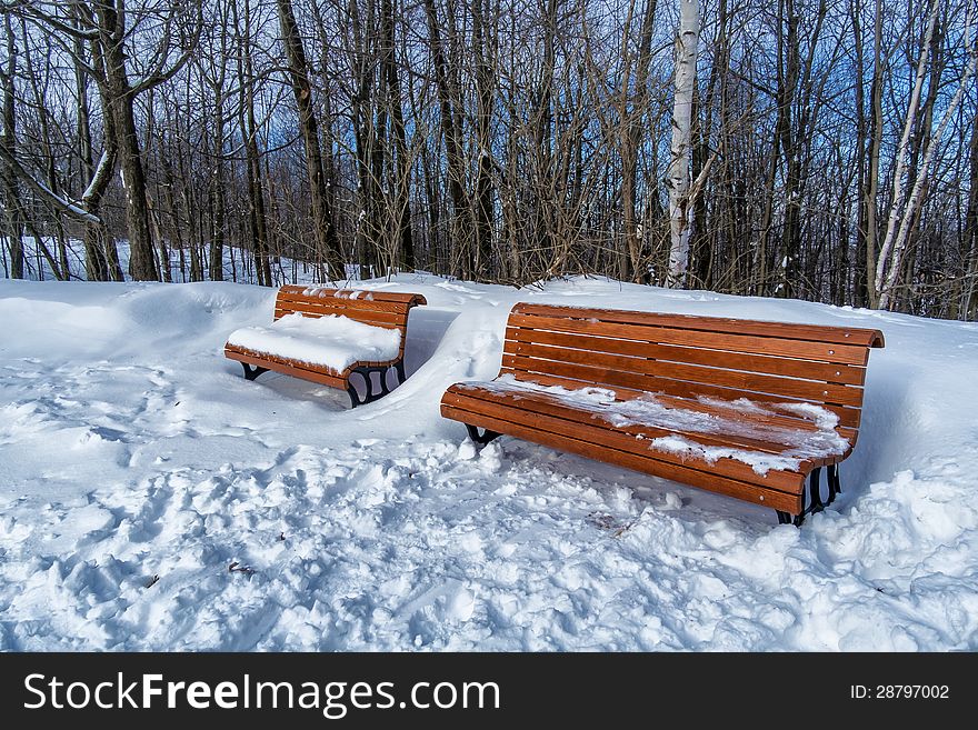 Park benches in snow with trees and blue sky