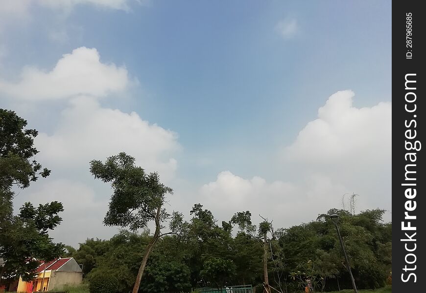 A sunny day with cloudy blue sky background, trees, and little house. A sunny day with cloudy blue sky background, trees, and little house