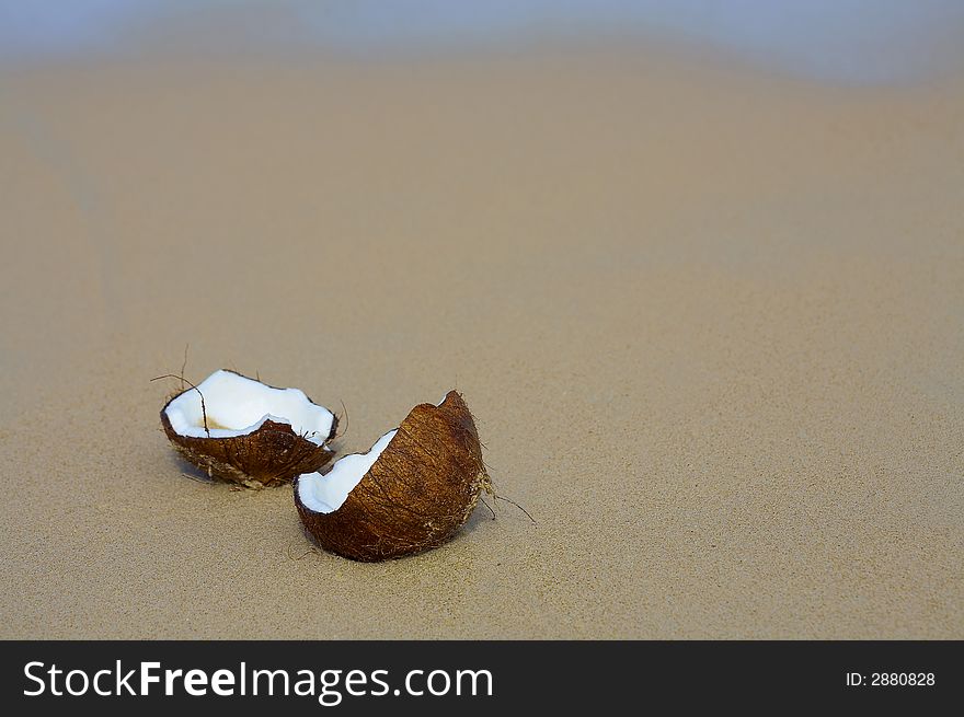 View of lonely cracked coconut on sandy beach. View of lonely cracked coconut on sandy beach