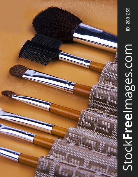Cosmetic brushes lined up in the tool case.