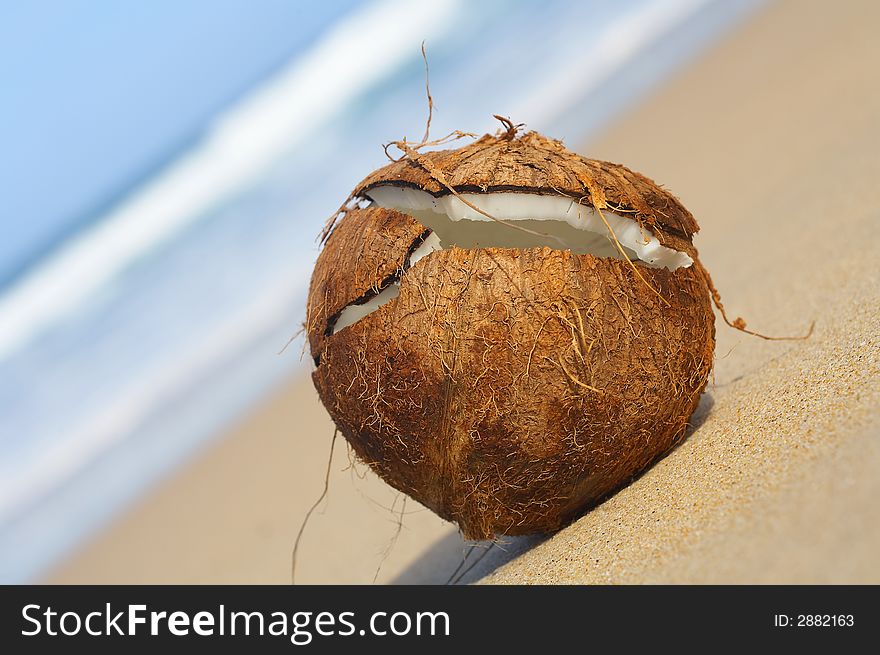 View of lonely cracked coconut on sandy beach