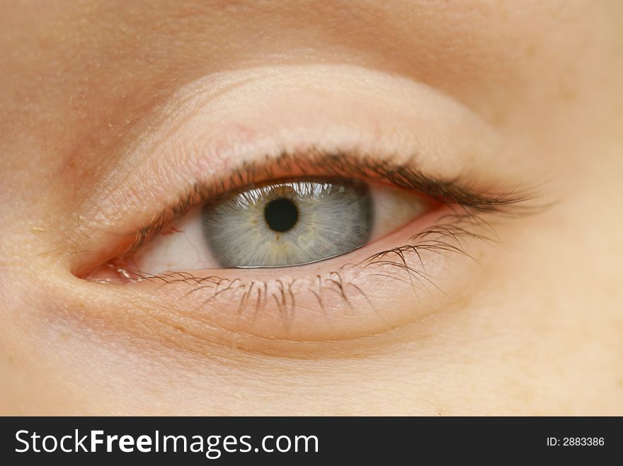 Natural blue eye macro vision