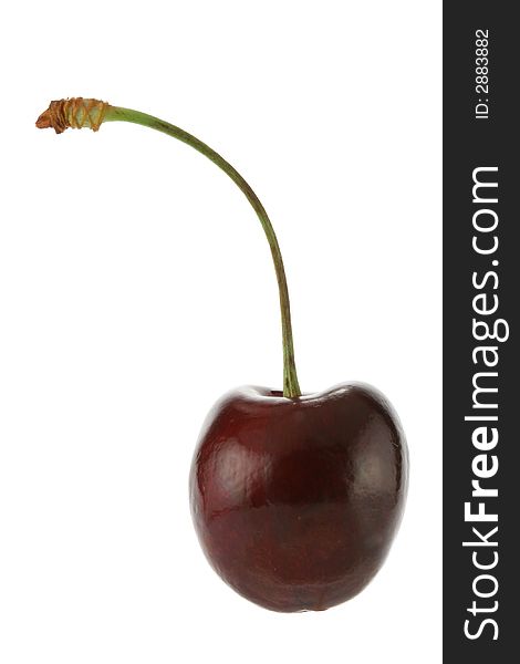 Single cherry close-up isolated over a white background