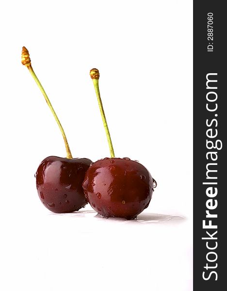 Two ripe sweet cherries with drops of water on a white background. Two ripe sweet cherries with drops of water on a white background