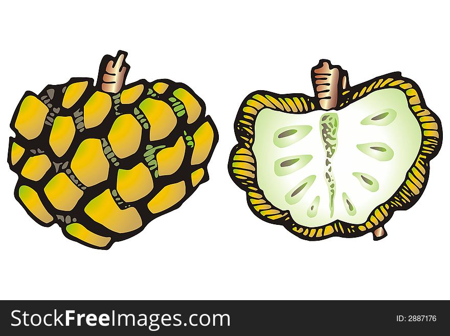 Art illustration: a pine fruit and a half one