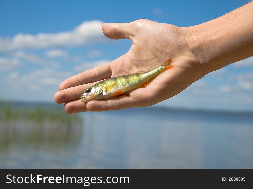 Hand holding a fish caught on a fishing line with clouds