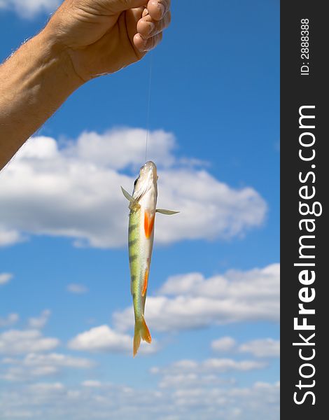 Hand holding a fish caught on a fishing line with clouds