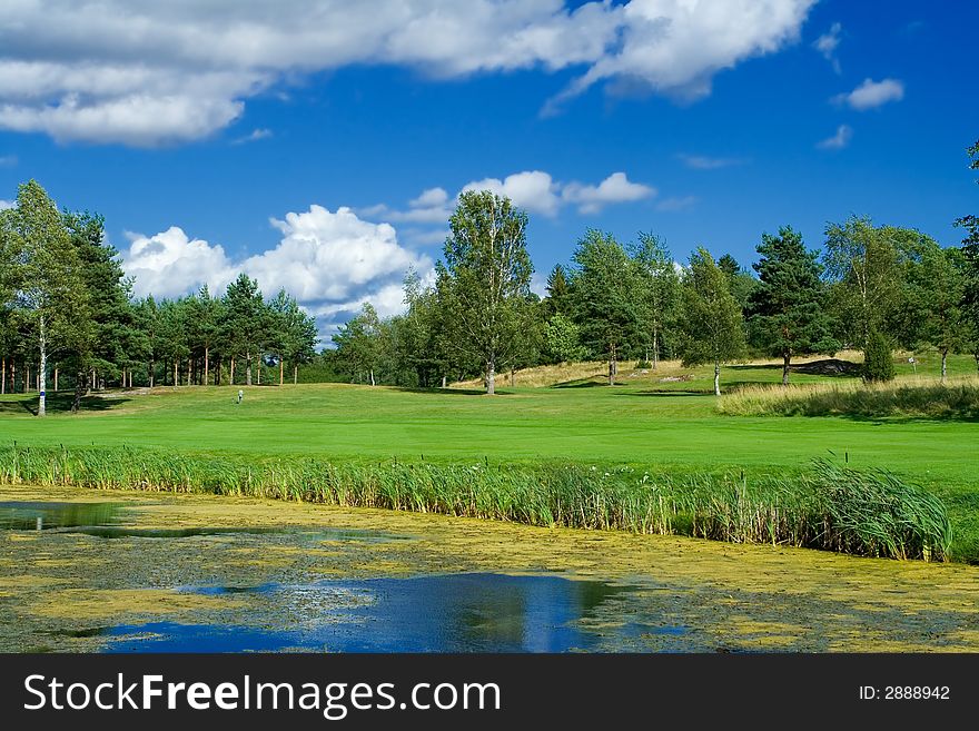 Swedish golf landscape on a sunny day in July. Swedish golf landscape on a sunny day in July