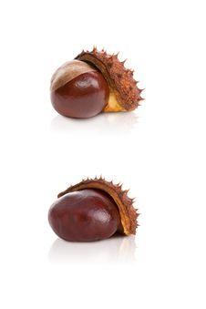 Chestnut In A Skin On A White Background Royalty Free Stock Images Chestnut In A Skin On A White Background Royalty Free Stock Images