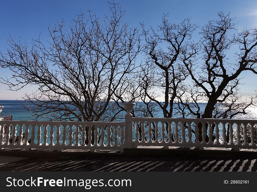 Silhouettes of trees against the blue sea