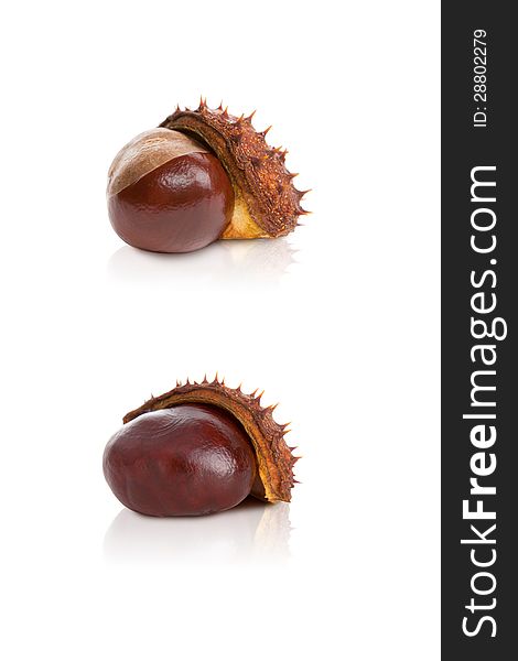 Chestnut In A Skin On A White Background