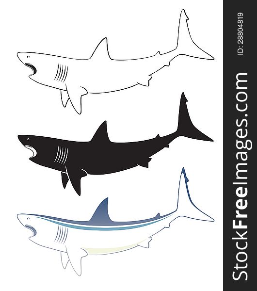 The figure shows a white shark