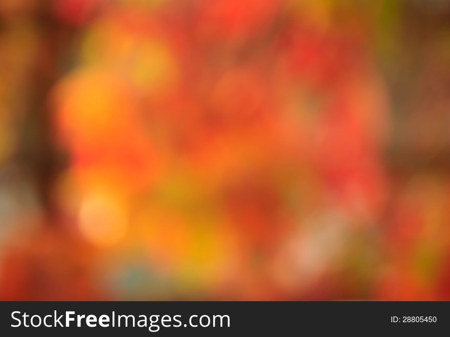 Colorful nature background with bokeh. Colorful nature background with bokeh
