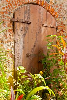 Grunge Door With Evergreen Plants Royalty Free Stock Photos Grunge Door With Evergreen Plants Royalty Free Stock Photos