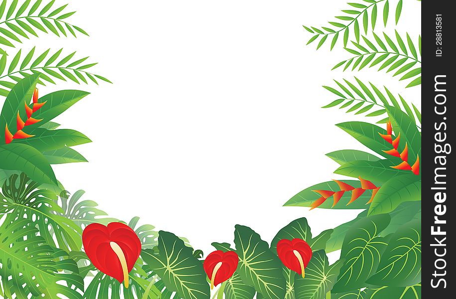 Illustration of Tropical Forest Background