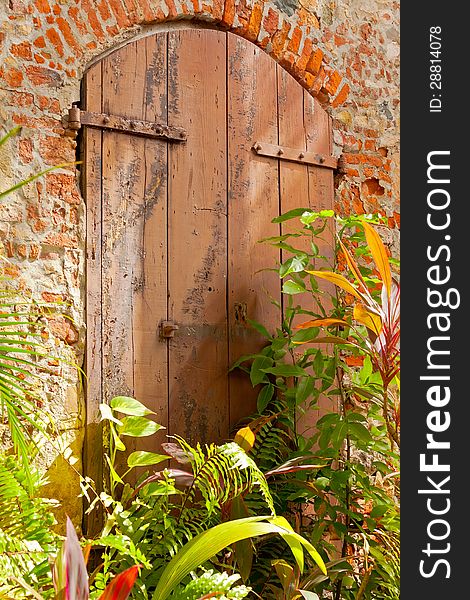 Grungy door, with brick wall, and surrounded by lush green plants. Grungy door, with brick wall, and surrounded by lush green plants.