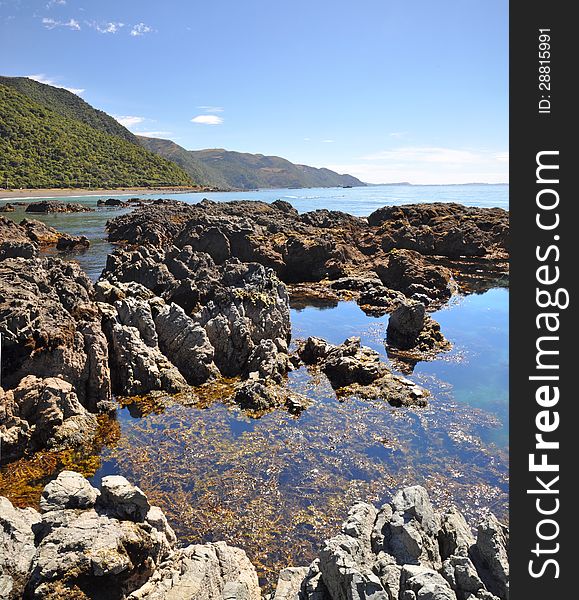 Vertical panoramic view of the rock pools of Kaikoura - a popular seal colony and whale watching tourist destination on the east coast of the South Island in New Zealand. Vertical panoramic view of the rock pools of Kaikoura - a popular seal colony and whale watching tourist destination on the east coast of the South Island in New Zealand.