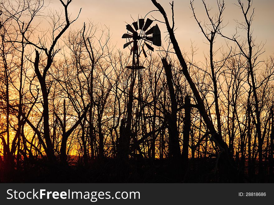 Windmill in Trees