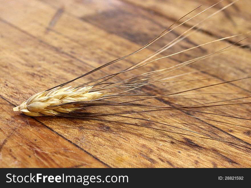 Old worn wood table with single piece of grain on top of it. Old worn wood table with single piece of grain on top of it.