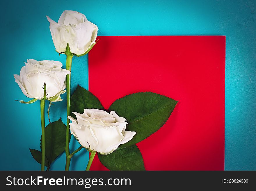 Three white roses with red card