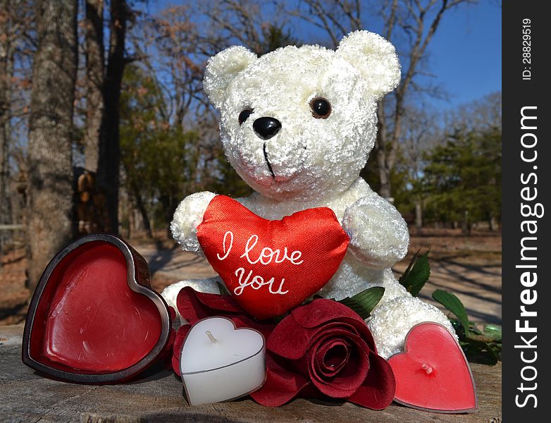 A soft white Teddy Bear holds a heart that says I love you. . A soft white Teddy Bear holds a heart that says I love you.