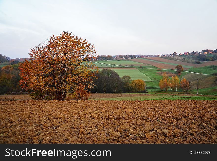 Autumn over the fields and hills. Autumn over the fields and hills