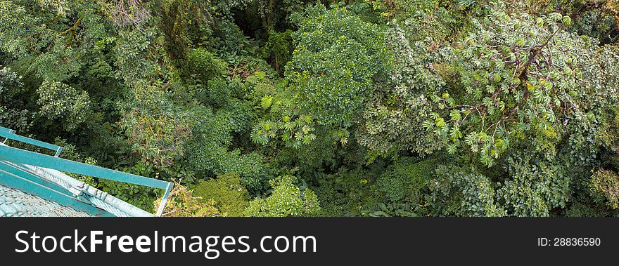 Rain forest from above. Monteverde, Costa Rica. Panoramic view