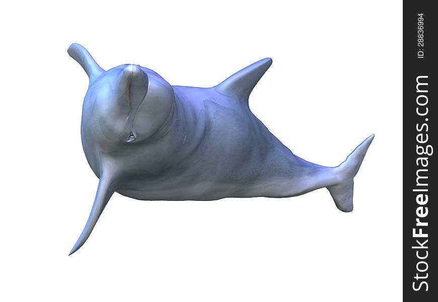 Digital render of a swimming dolphin on white background. Digital render of a swimming dolphin on white background.