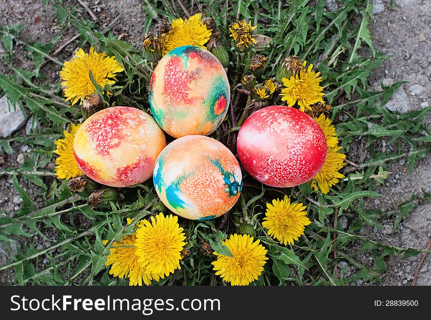 Four Easter eggs and dandelions. Four Easter eggs and dandelions
