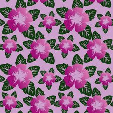 Floral Seamless Pattern With Violet Flowers. Stock Photos Floral Seamless Pattern With Violet Flowers. Stock Photos