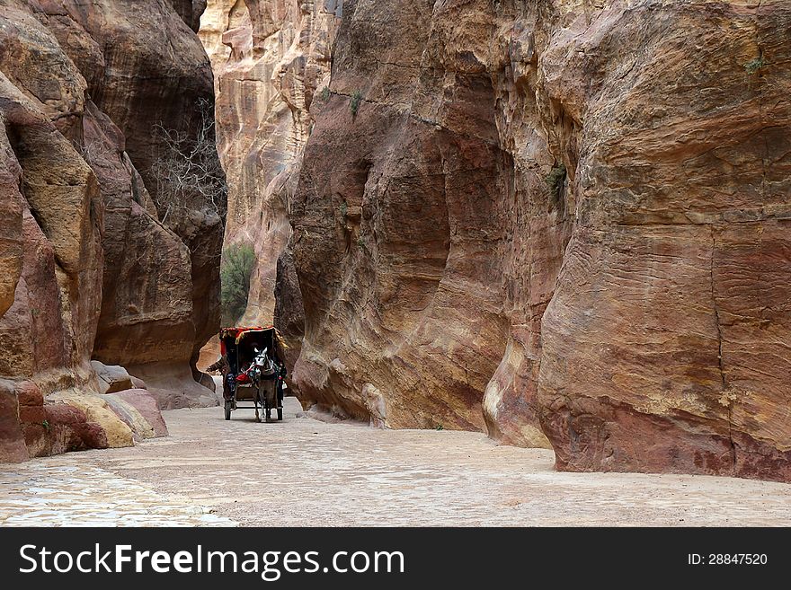 Cart riding through canyon in Petra.