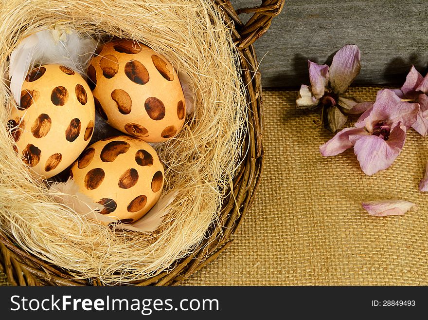 Three dotted easter eggs in the nest of false grass, rustic. Three dotted easter eggs in the nest of false grass, rustic