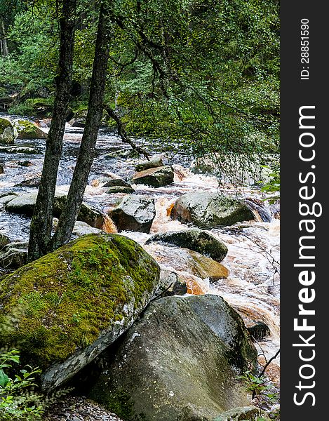 Wild river with big stones