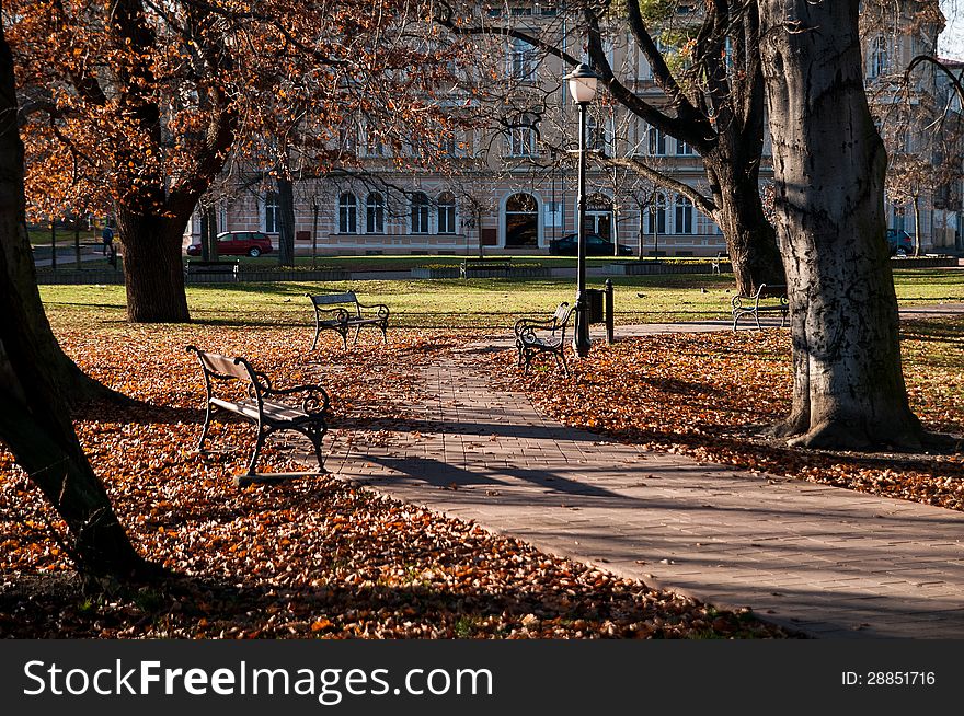 Park With Benches