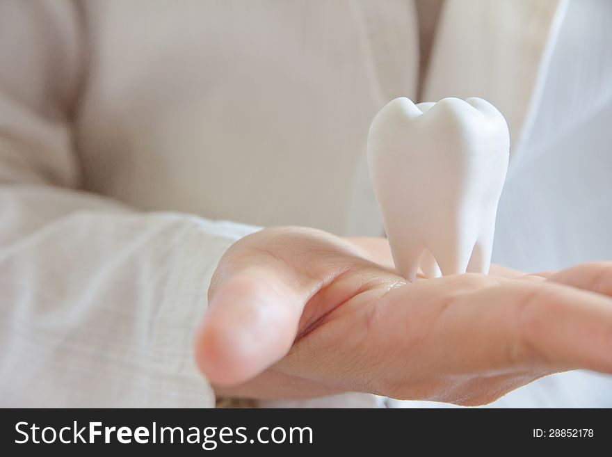 Dentist holding molar ,dental concept. Dentist holding molar ,dental concept