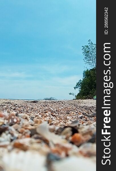 Stretch Of Sand And Seashells By The Beach With A Background Of Blue Sky And Small Hills