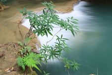 Tree And Waterfall - Thailand Stock Photography Tree And Waterfall - Thailand Stock Photography