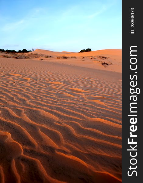 Red Sand Dunes. Sunset