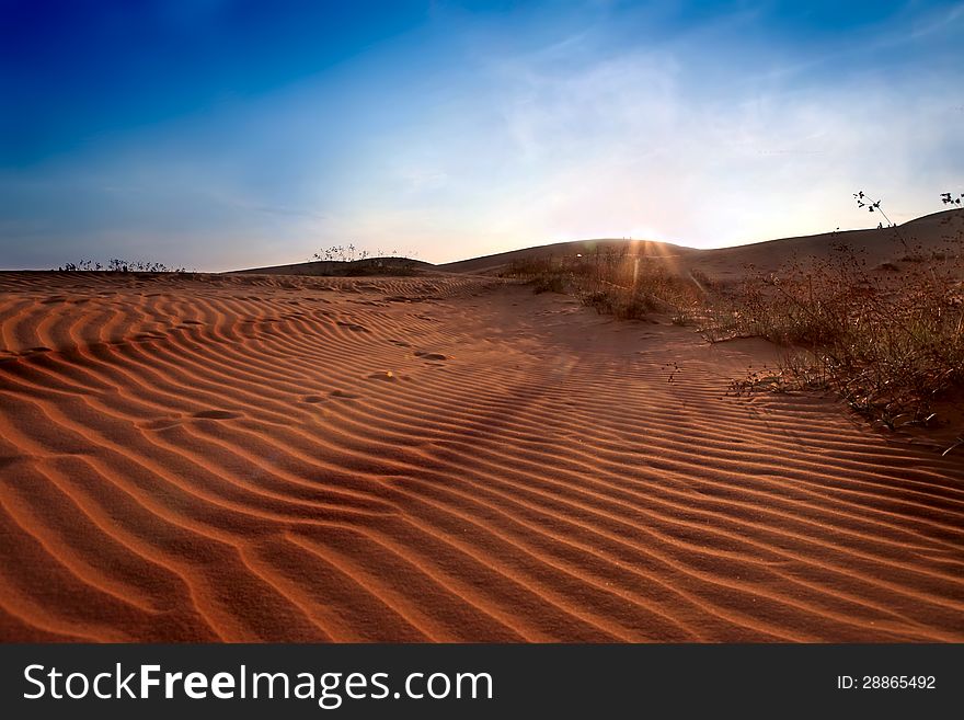 Red Sand Dunes. Sunset