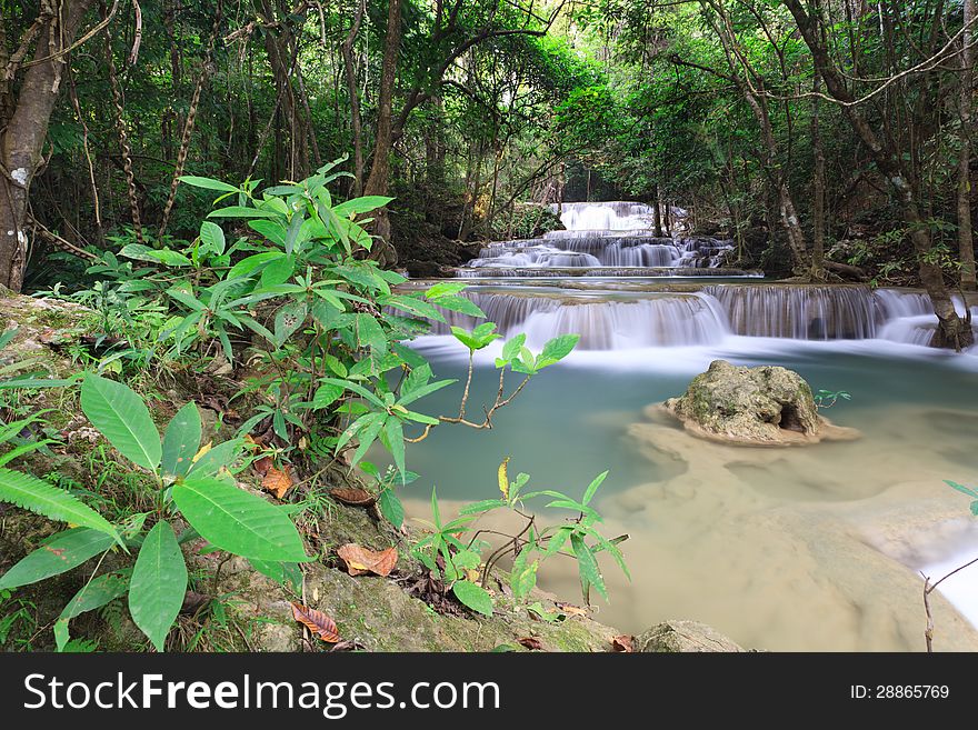 Waterfall in Deep Forest