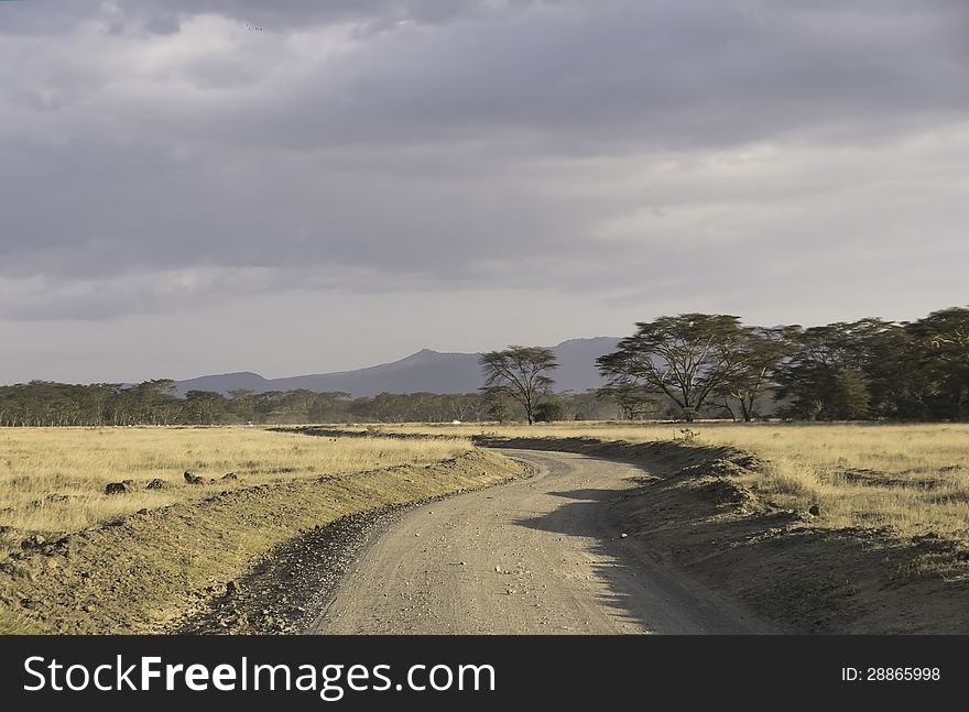 Drive through the national park of nakuru in Kenya. Drive through the national park of nakuru in Kenya