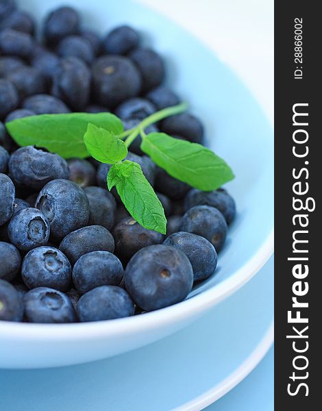 Ripe blueberries in the blue bowl closeup