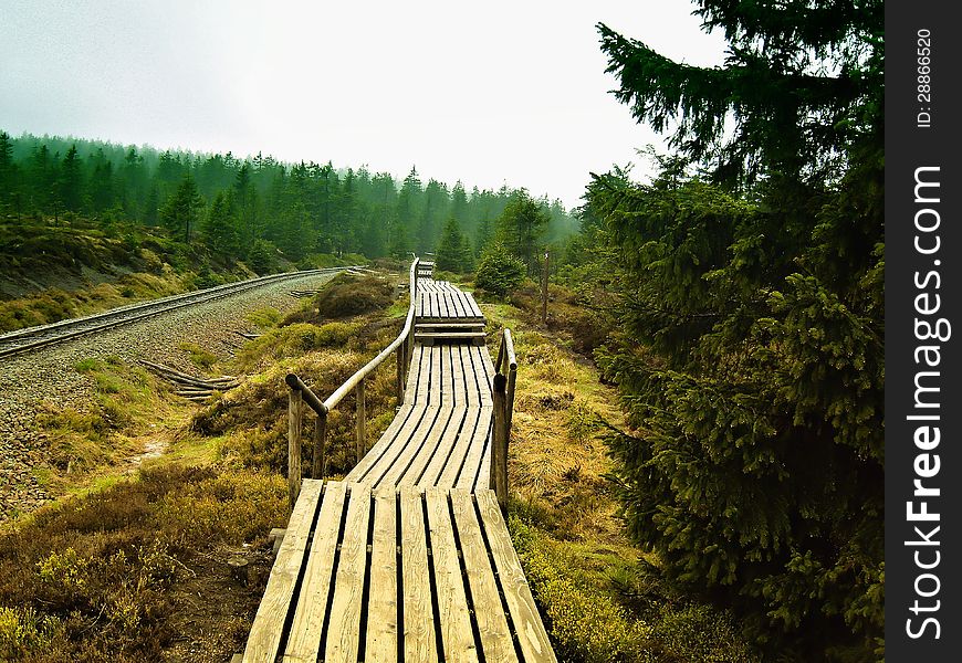 Trail to the summit of the Brocken