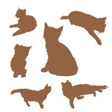 Silhouettes Of Cats Royalty Free Stock Image