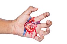 Tear Heart Painting On Hand Stock Image Tear Heart Painting On Hand Stock Image
