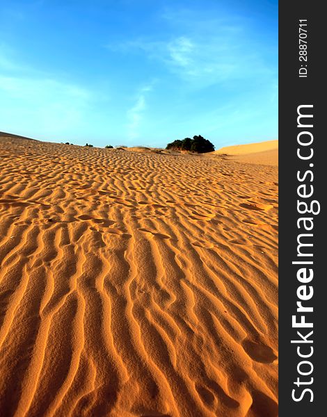 Red Sand Dunes. Sunset.Landscape. Mui Ne, Vietnam