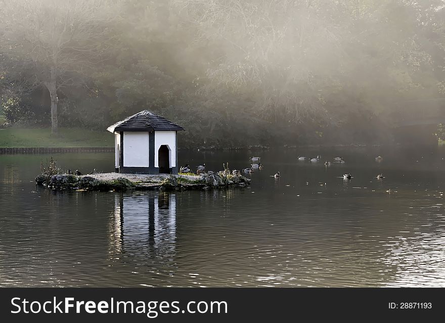 Bird house in the middle of a pond, by a foggy day.